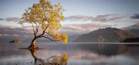 查询数据库时为什么会出现out of sort memory